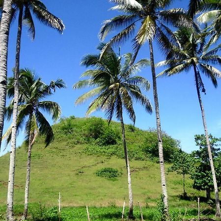 Bohol Sweet Home Bed And Breakfast Guindulman Eksteriør billede