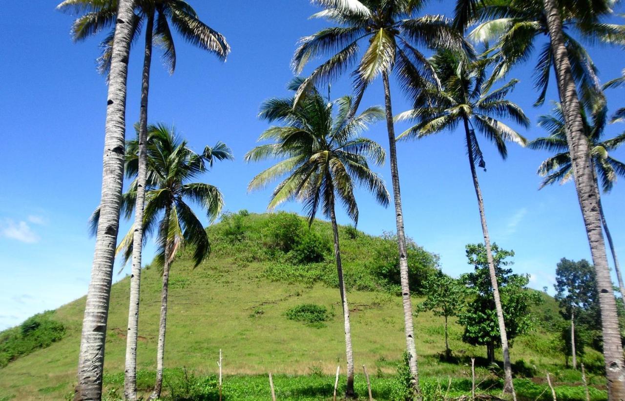Bohol Sweet Home Bed And Breakfast Guindulman Eksteriør billede